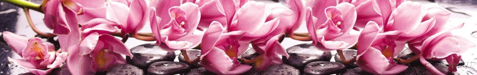 Скинали — Орхидея на воде