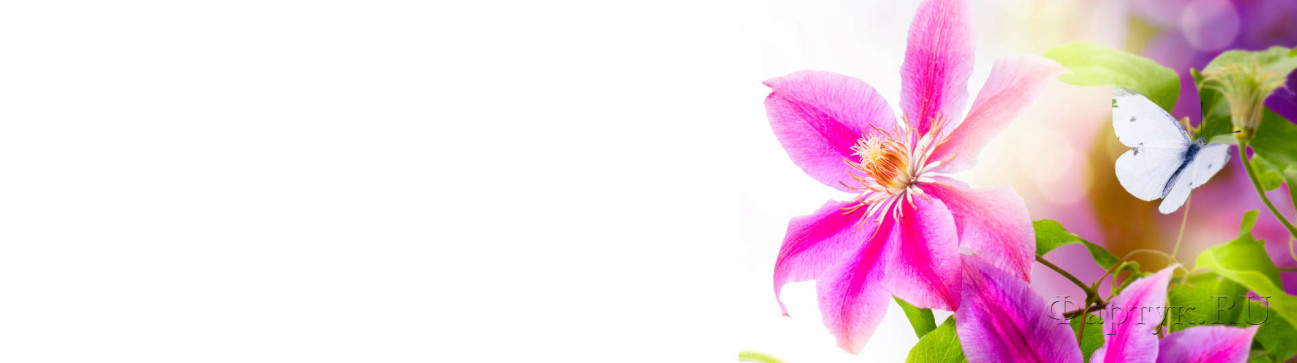 Скинали — Бабочка на розовых цветах