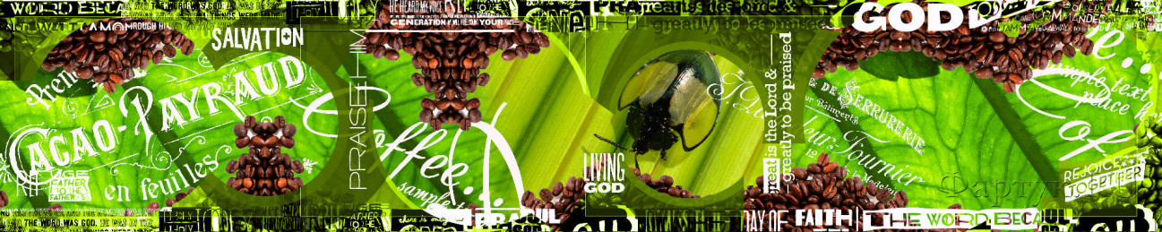 Скинали — Коллаж: кофейные зерна и листья зеленые