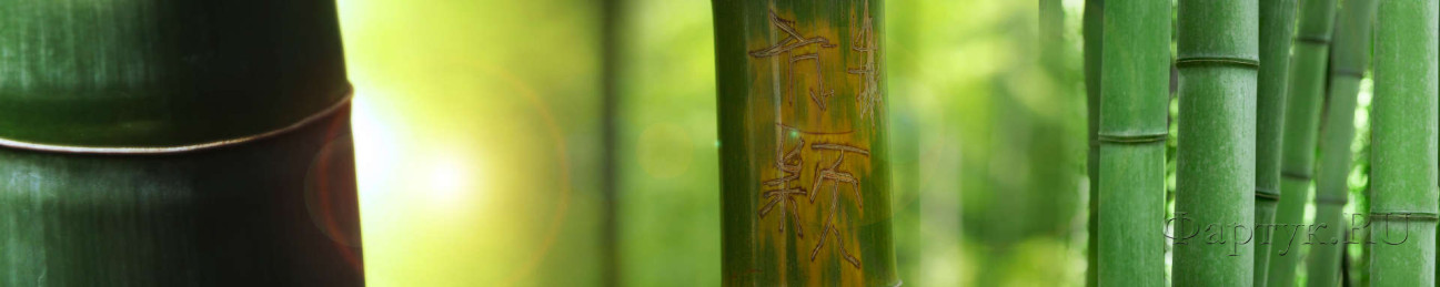 Скинали — Стебли бамбука с иероглифами