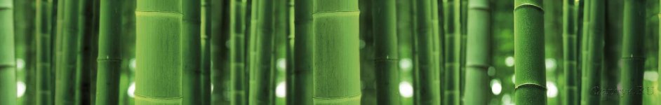 Скинали — Стебли бамбука