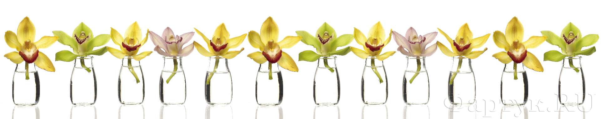 Орхидеи в сосудах