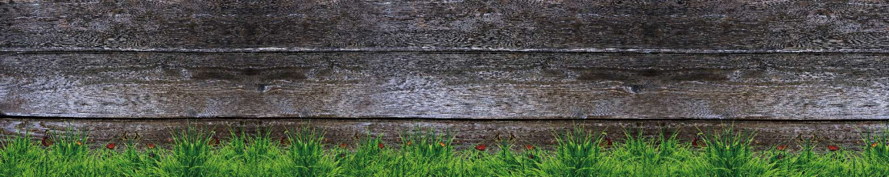 Скинали — Трава на фоне деревянного забора