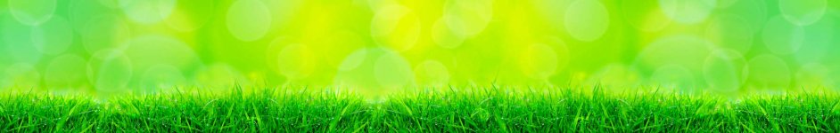 Скинали — Зеленая травка под лучами солнца 