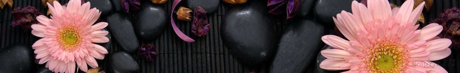 Скинали — Нежного оттенка цветы на темном фоне 