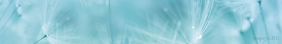 Скинали — Одуванчик на фоне голубого неба