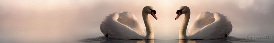 Скинали — Лебеди в пруду