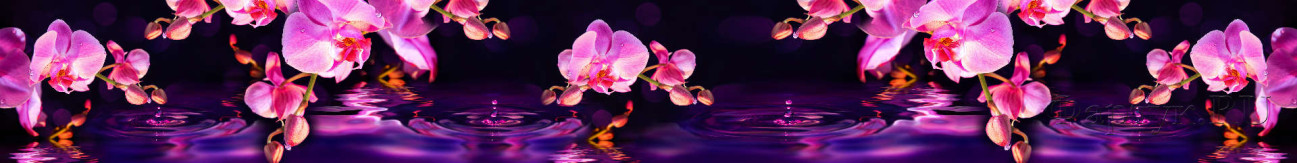 Скинали — Розовые орхидеи на фиолетовом фоне