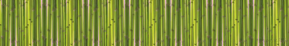 Скинали — Зеленый бамбуковый забор