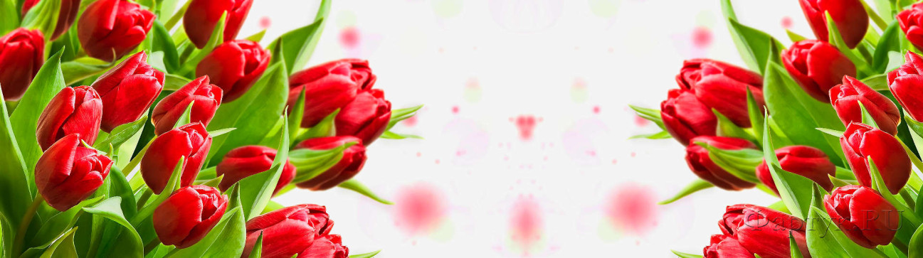 Скинали — Букеты красных тюльпанов
