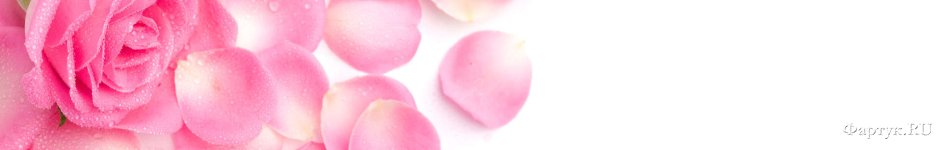 Скинали — Розовая роза и лепестки