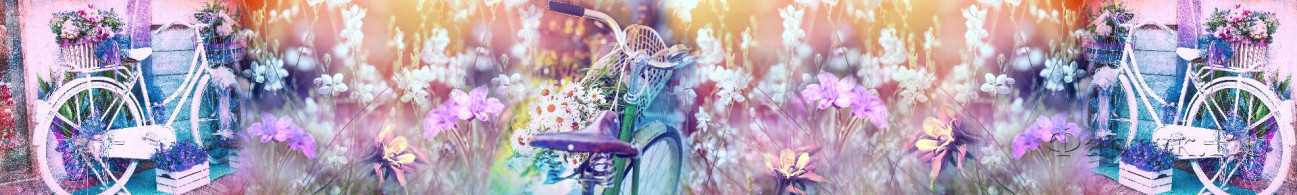Скинали — Коллаж полевые цветы и велосипед