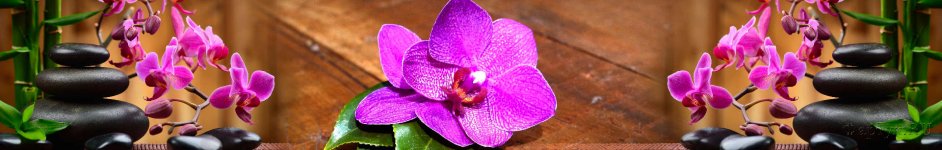 Скинали — Орхидеи на камнях