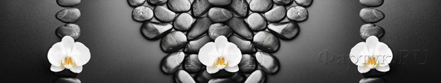 Скинали — Белые орхидеи на черных камнях