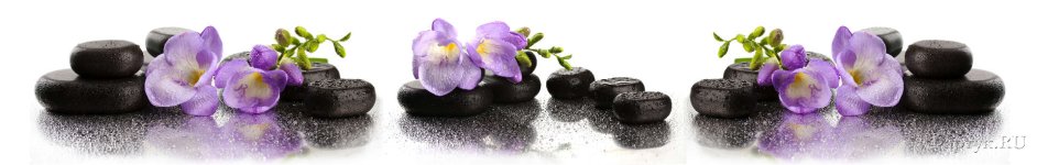 Скинали — Фиолетовые цветки на камнях