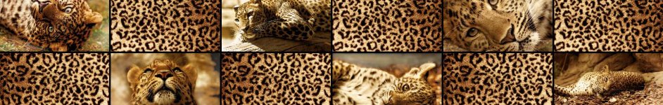 Скинали — Коллаж Леопардовый окрас