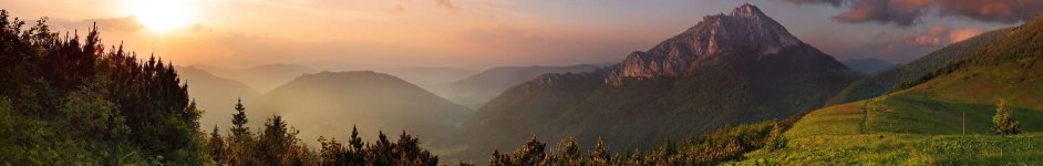 Скинали — Хвойный лес в горах