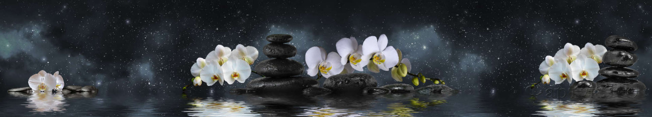 Скинали — Белая орхидея и черные камни с отражением