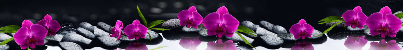Скинали — Розовые орхидеи на камнях