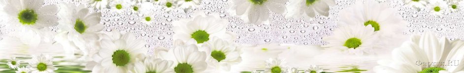 Скинали — Белые цветы с зеленой серединкой