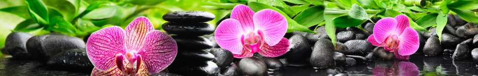 Скинали — Розовые орхидеи в воде на камнях