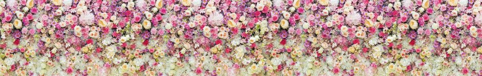 Скинали — Цветы, свисающие со стены