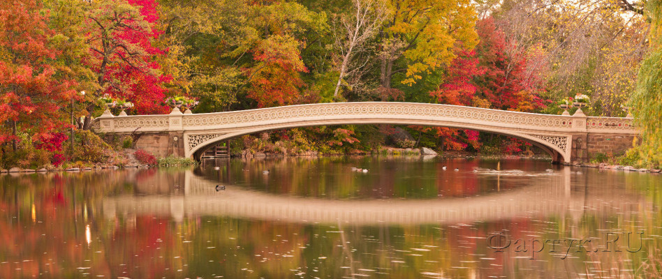 Скинали — Осень в Центральном парке Нью-Йорка