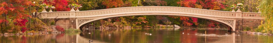 Скинали — Осень в Центральном парке Нью-Йорка
