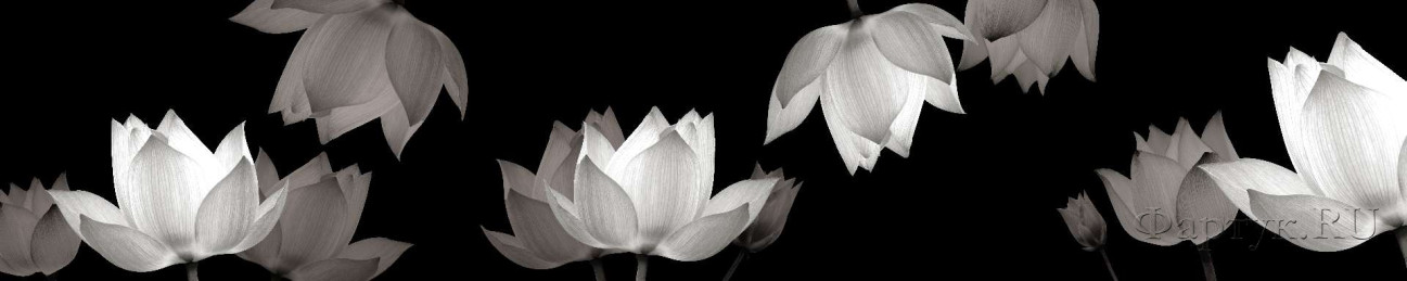 Скинали — Белые цветы на черном фоне
