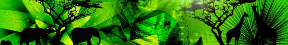 Скинали — Тени животных на зеленом фоне