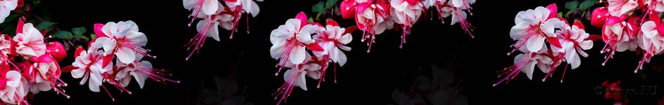 Скинали — Букетики цветов на черном фоне 