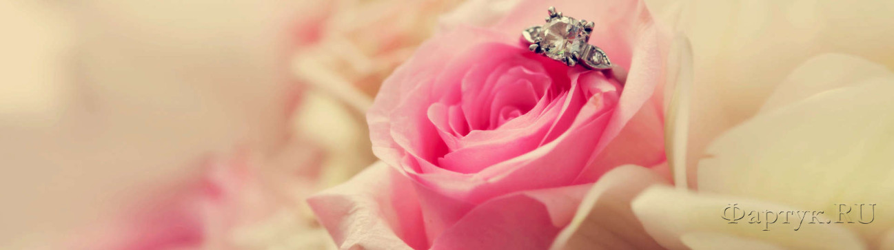 Скинали — Розовая роза и кольцо