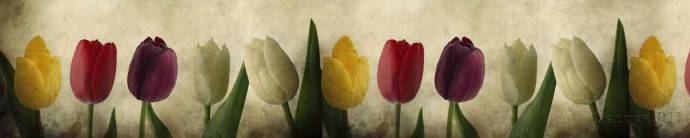 Скинали — Тюльпаны на бежевом фоне