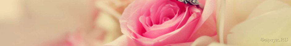 Скинали — Розовая роза и кольцо
