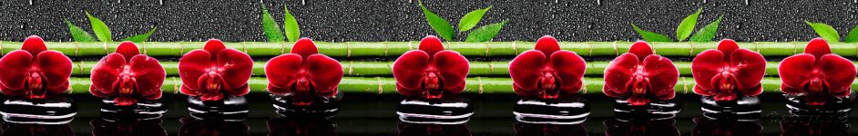 Скинали — Красные орхидеи на зеленом бамбуке