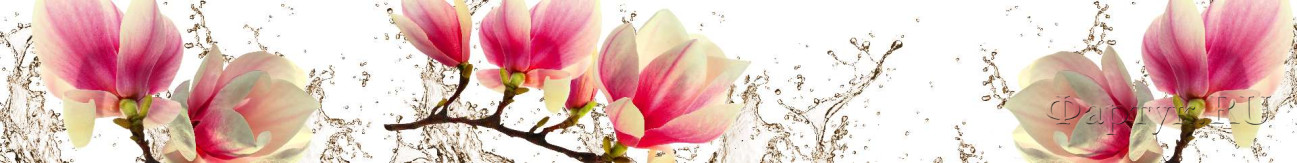 Скинали — Розовые цветы в брызгах воды