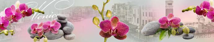 Скинали — Розовые орхидеи на окне