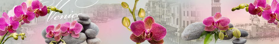 Скинали — Розовые орхидеи на окне