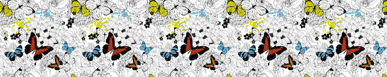 Скинали — Разноцветные бабочки на цветах