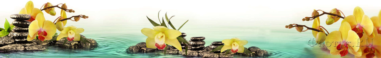 Скинали — Желтые орхидеи и камни в воде