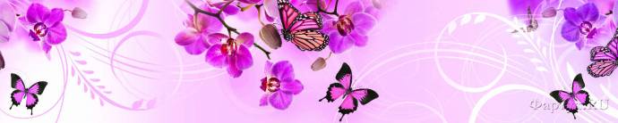 Скинали — Орхидеи и бабочки