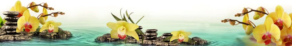 Скинали — Желтые орхидеи и камни в воде