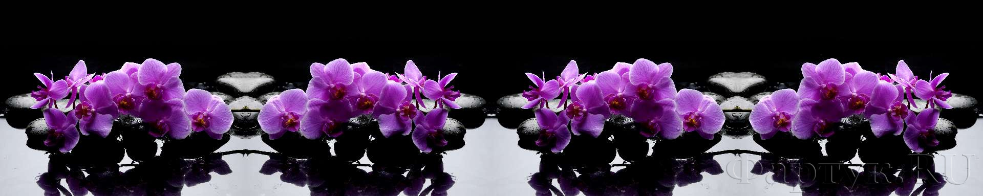 Орхидеи на камнях