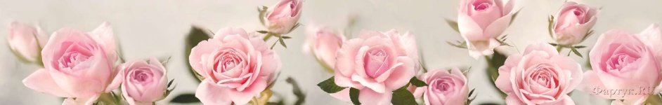 Скинали — нежные розовые розы