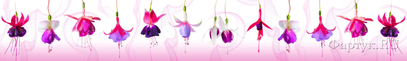 Скинали — Фиолетовые цветы на белом фоне