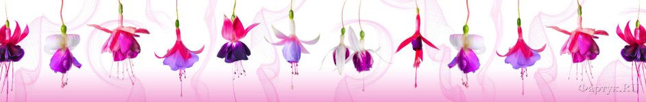 Скинали — Фиолетовые цветы на белом фоне