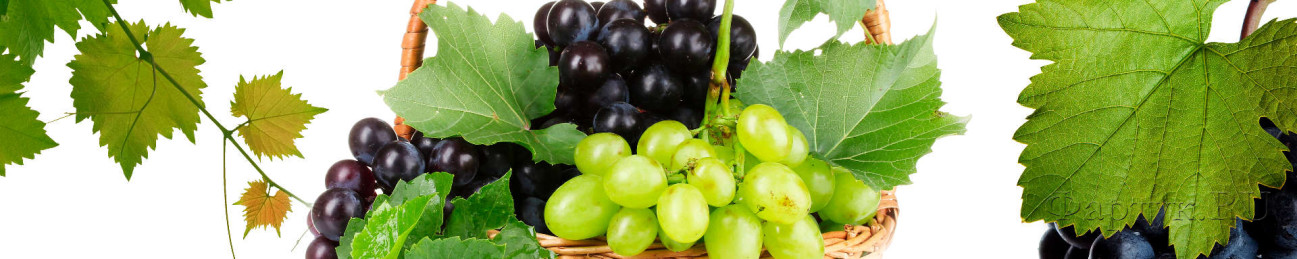 Скинали — Корзина с виноградом