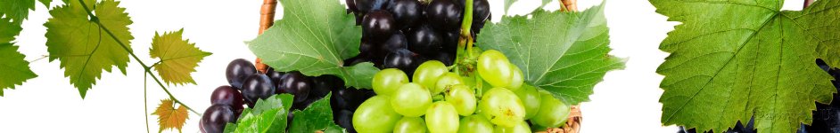 Скинали — Корзина с виноградом