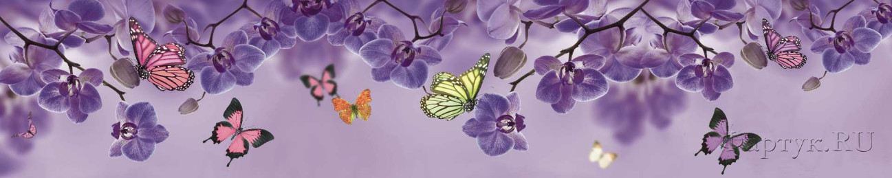 Скинали — Орхидеи и бабочки