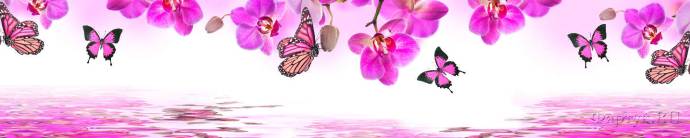 Скинали — Нежно-розовые орхидеи и бабочки